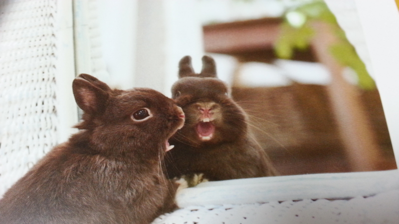 f:id:j0126791:20130118214310j:image:w360 f:id:j0126791:20130118214310j:image:w360
