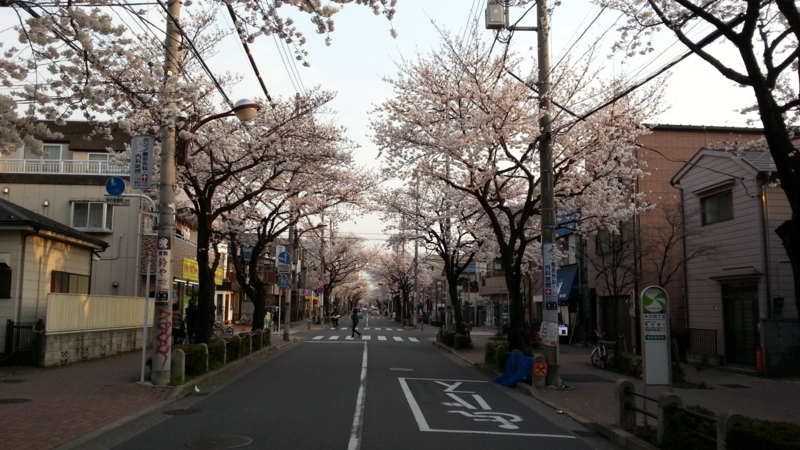 f:id:j0126791:20130323170643j:image:w360 f:id:j0126791:20130323170643j:image:w360