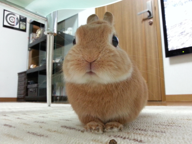 f:id:j0126791:20130525225405j:image:w360 f:id:j0126791:20130525225405j:image:w360