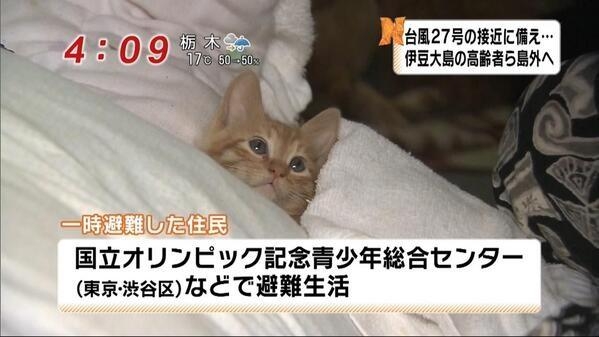 f:id:j0126791:20131026205452j:image:w360 f:id:j0126791:20131026205452j:image:w360