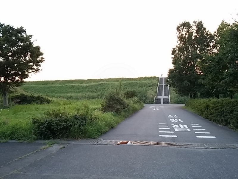 f:id:j0126791:20140820181357j:image:w360