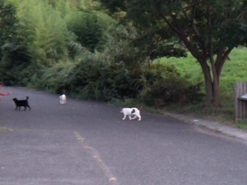 f:id:j0126791:20140820181503j:image:w360