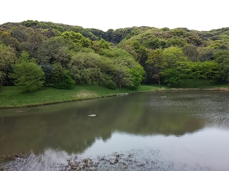 f:id:j0126791:20150412104648j:image:w360 f:id:j0126791:20150412104648j:image:w360