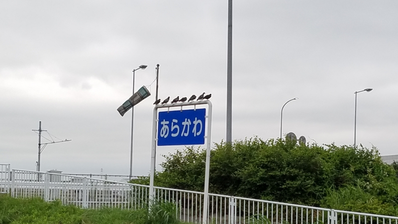 f:id:j0126791:20160705061912j:image:w360