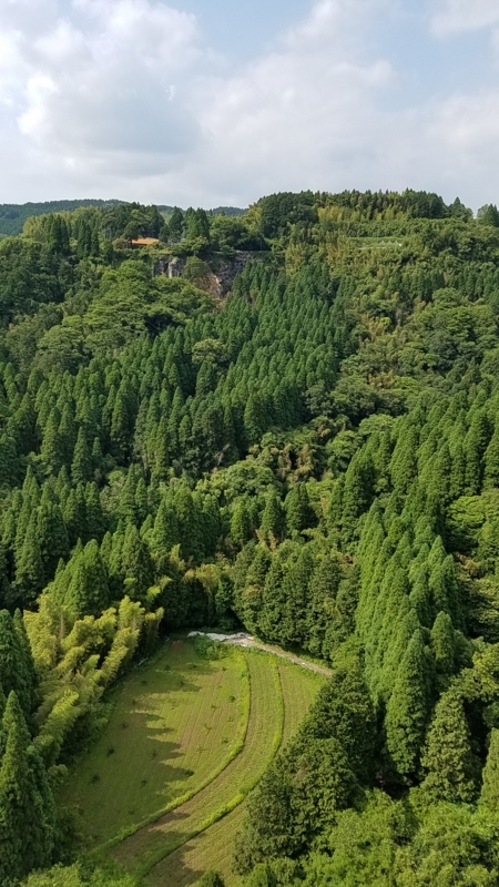 f:id:j0126791:20170611154744j:image:w360 f:id:j0126791:20170611154744j:image:w360