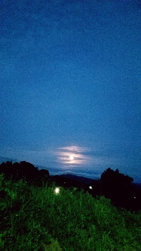 f:id:j0126791:20180529194859j:image:w360 f:id:j0126791:20180529194859j:image:w360