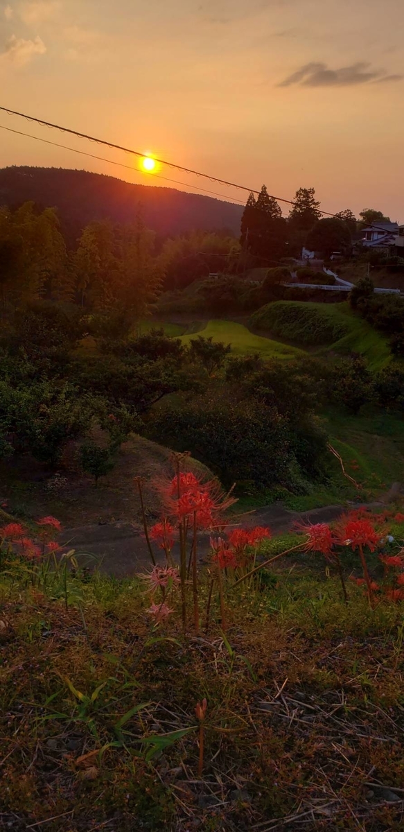 f:id:j0126791:20190925211047j:plain