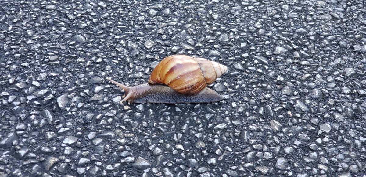 f:id:j0126791:20191023095222j:plain f:id:j0126791:20191023095222j:plain