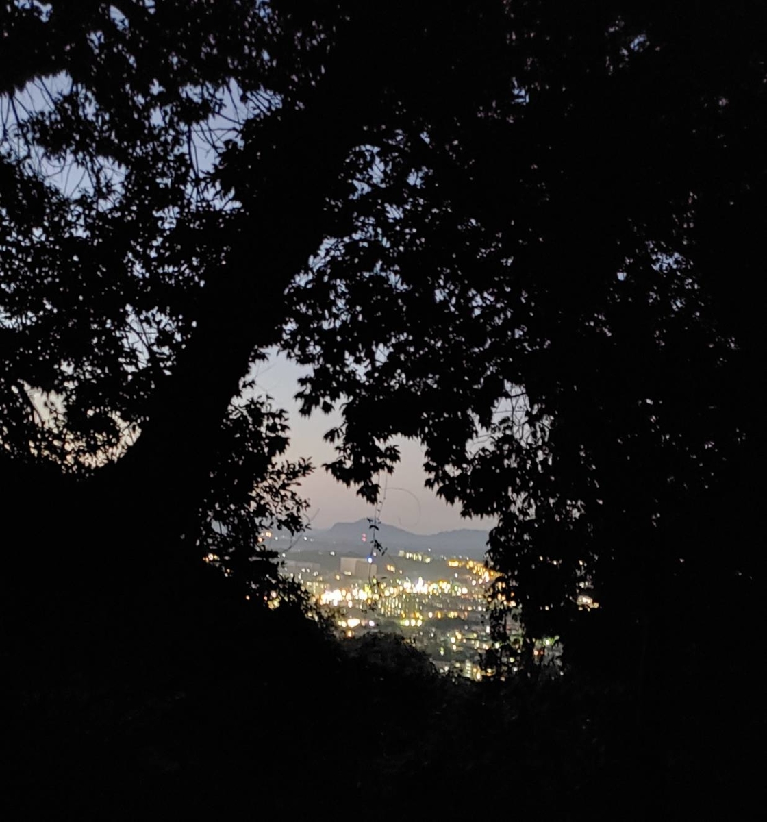f:id:j0126791:20191116191836j:plain