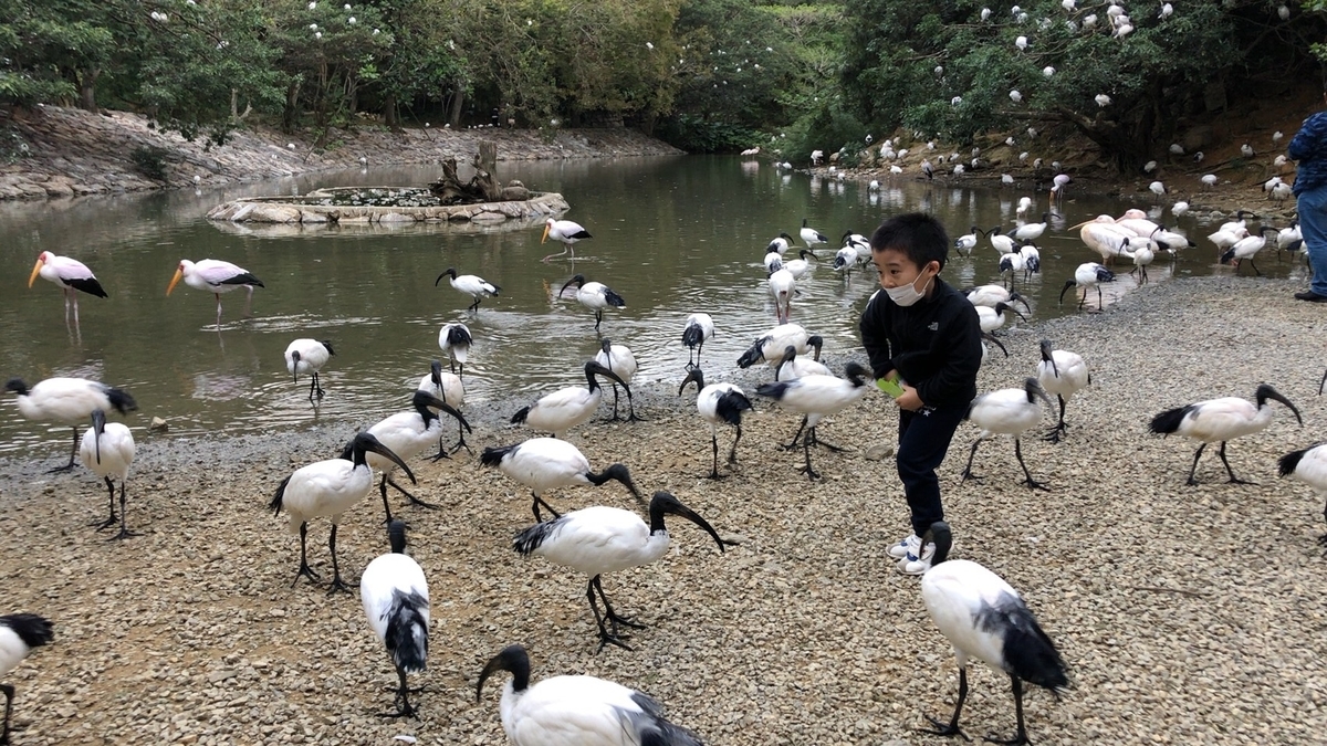 f:id:j0126791:20211226193214j:plain