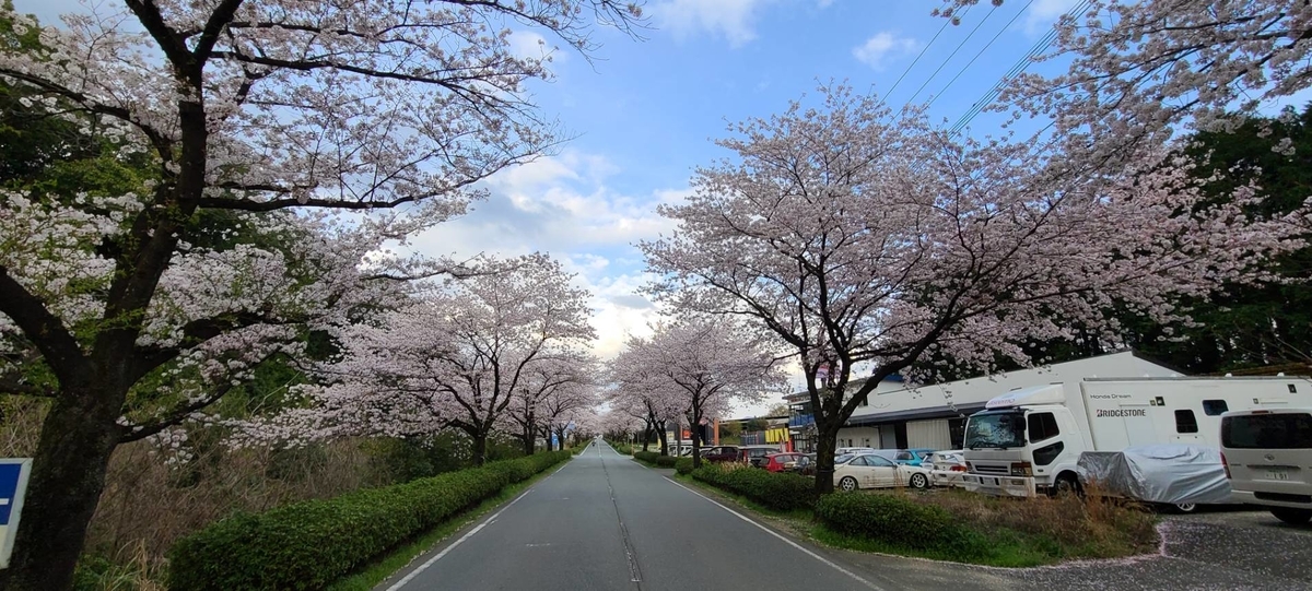 f:id:j0126791:20220330201541j:plain