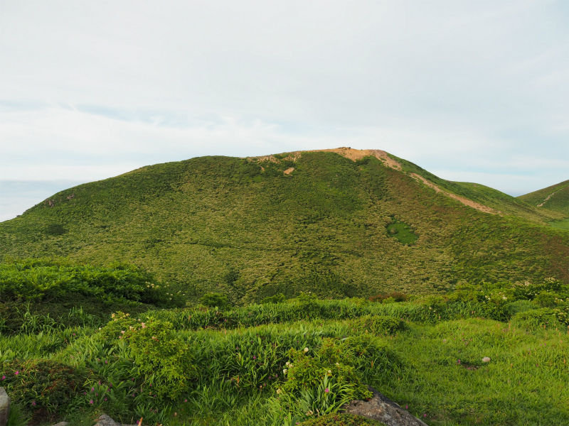 f:id:j1koba:20190815092931j:plain f:id:j1koba:20190815092931j:plain