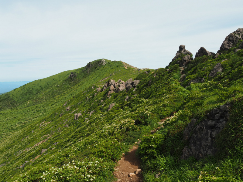 f:id:j1koba:20190815103718j:plain f:id:j1koba:20190815103718j:plain