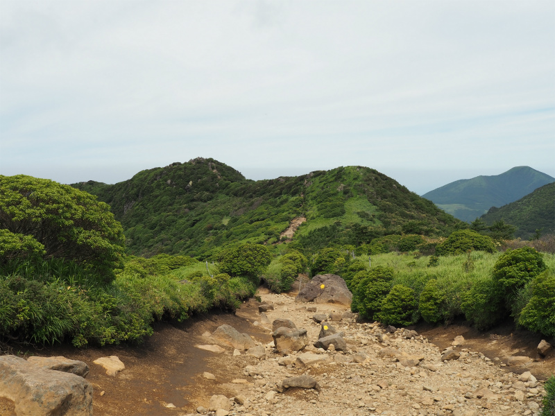 f:id:j1koba:20190815110827j:plain f:id:j1koba:20190815110827j:plain