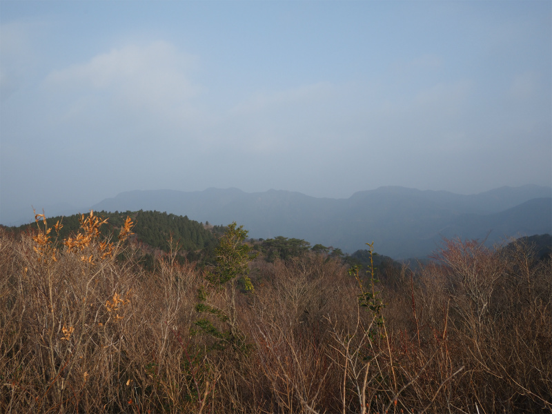 f:id:j1koba:20200123100136j:plain