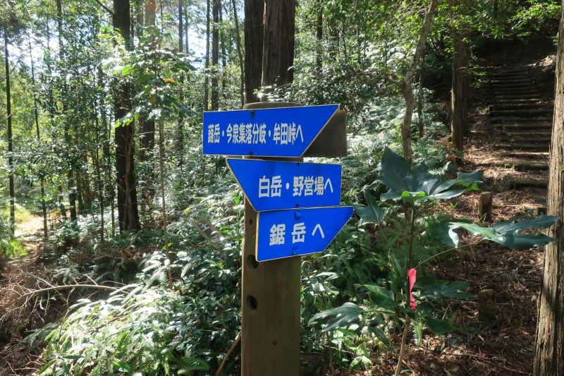 f:id:j1koba:20200316095534j:plain