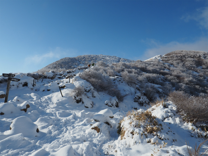 f:id:j1koba:20200326101403j:plain