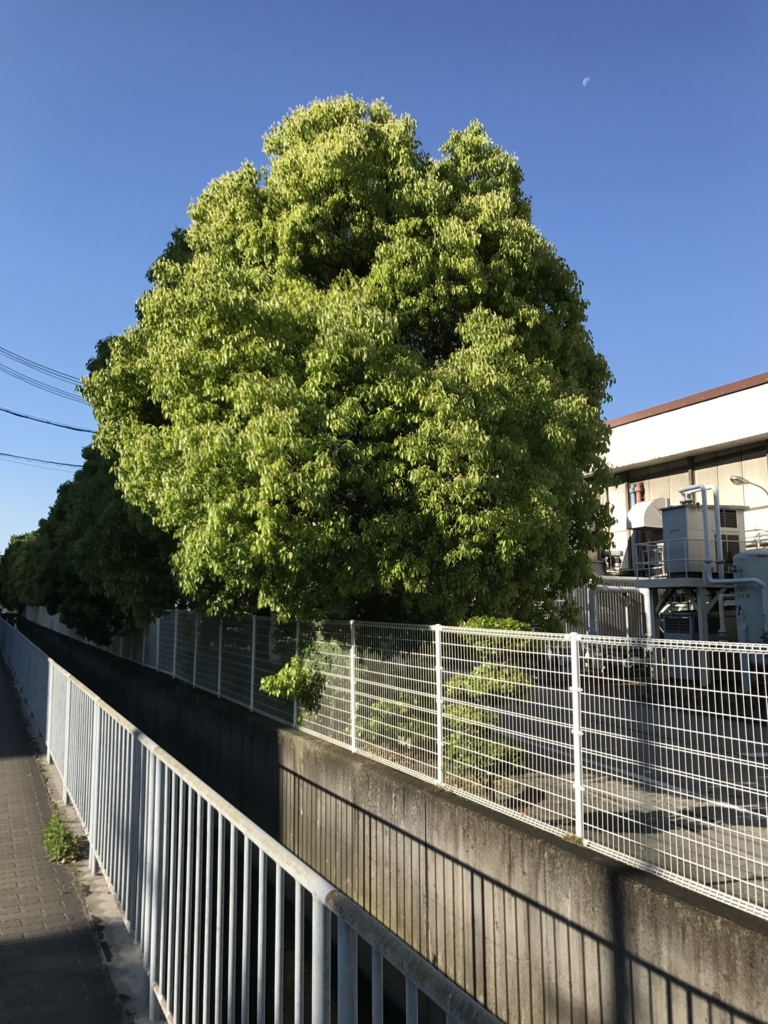 f:id:j2t2o:20170519064425j:plain