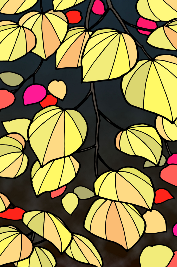 f:id:j50:20160829030747j:plain