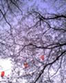 20080406232723