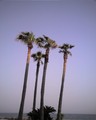 20080430192759