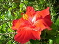 20080501100606