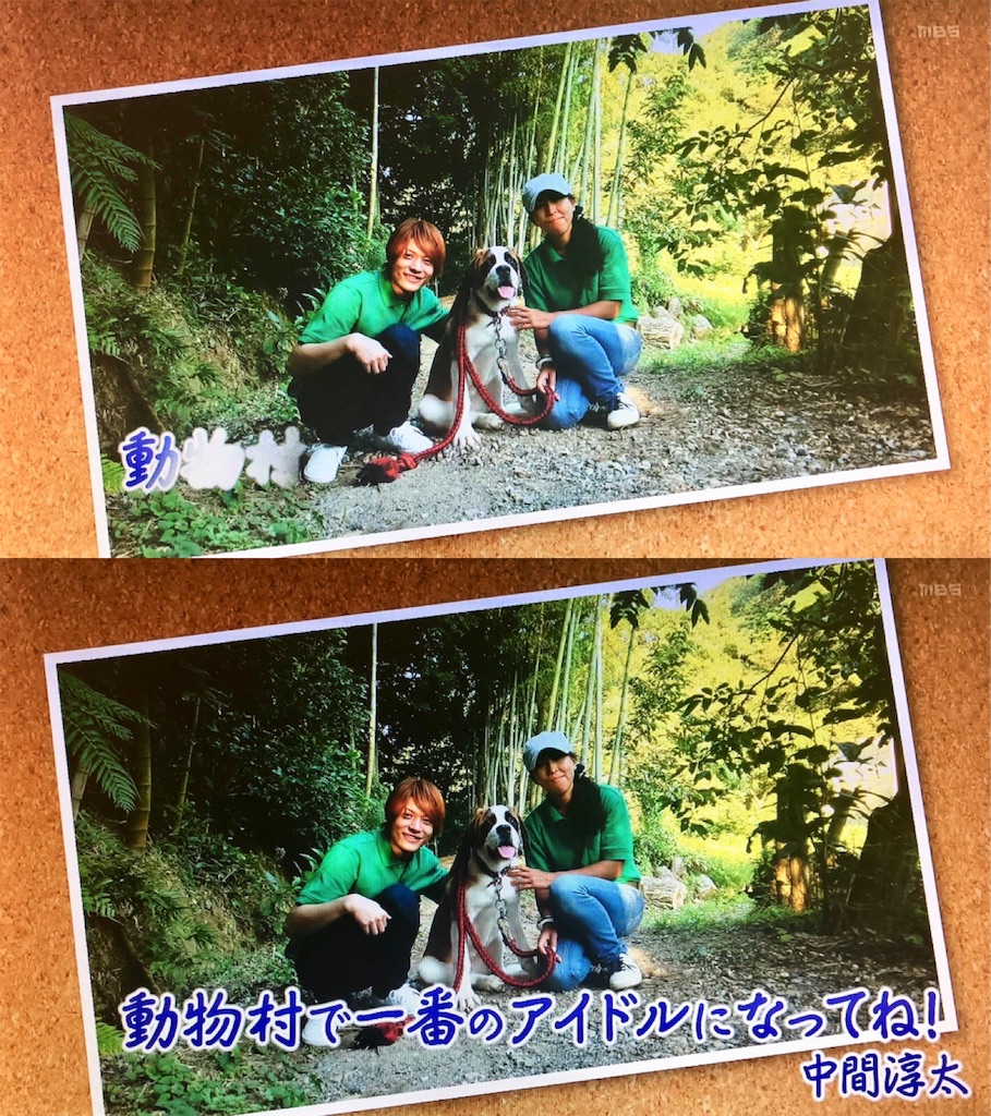 f:id:j_w_27:20181011095714j:image f:id:j_w_27:20181011095714j:image