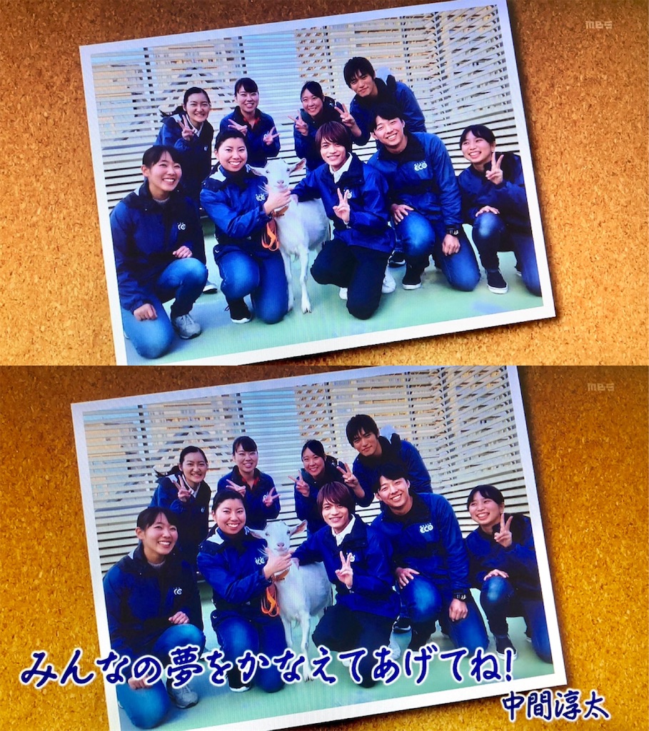 f:id:j_w_27:20181011100850j:image f:id:j_w_27:20181011100850j:image