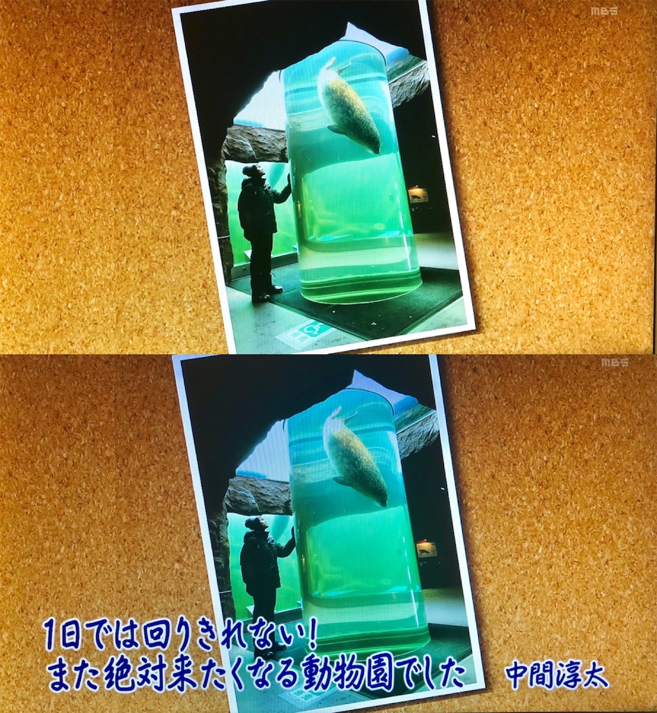 f:id:j_w_27:20181011101407j:image f:id:j_w_27:20181011101407j:image