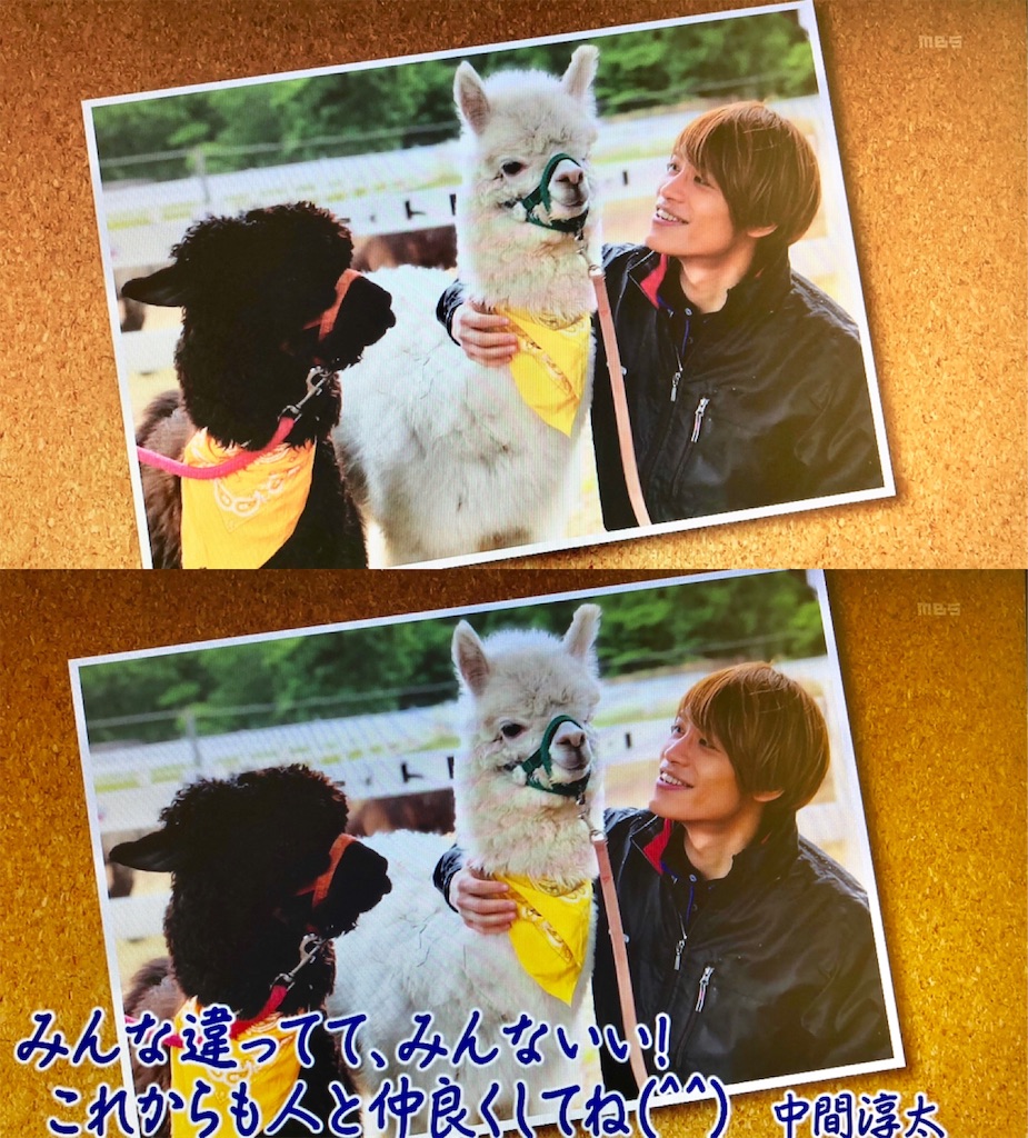 f:id:j_w_27:20181012171213j:image f:id:j_w_27:20181012171213j:image
