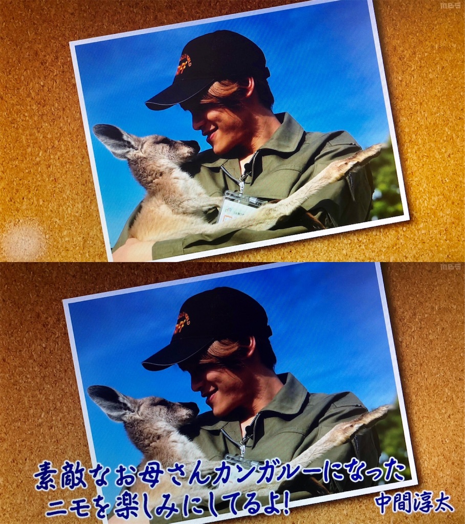 f:id:j_w_27:20181012171921j:image f:id:j_w_27:20181012171921j:image