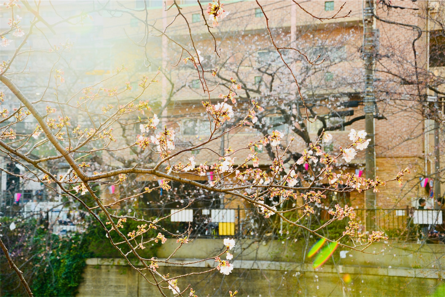 f:id:j_walkerj_walke:20190402195941j:image f:id:j_walkerj_walke:20190402195941j:image