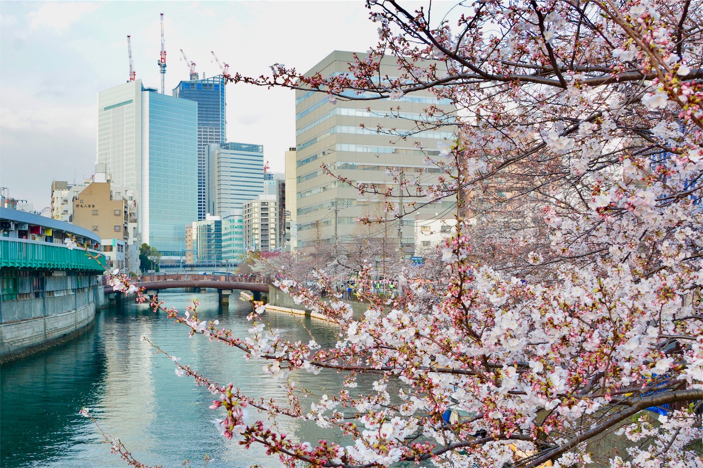 f:id:j_walkerj_walke:20190402200045j:image f:id:j_walkerj_walke:20190402200045j:image