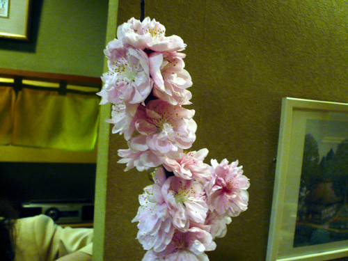 f:id:j_whitestone:20090326212437j:image