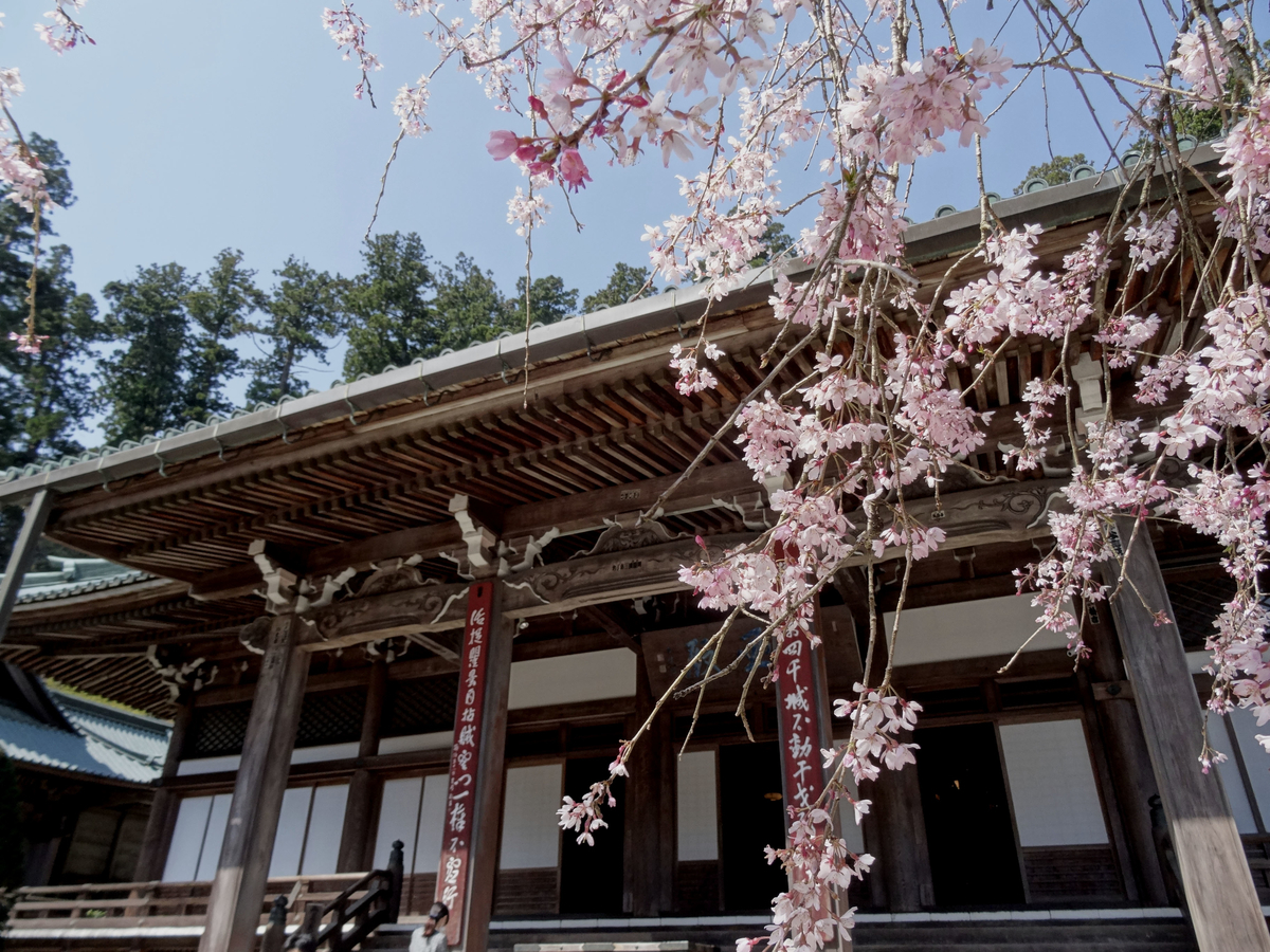 f:id:j_zero:20190415001353j:plain