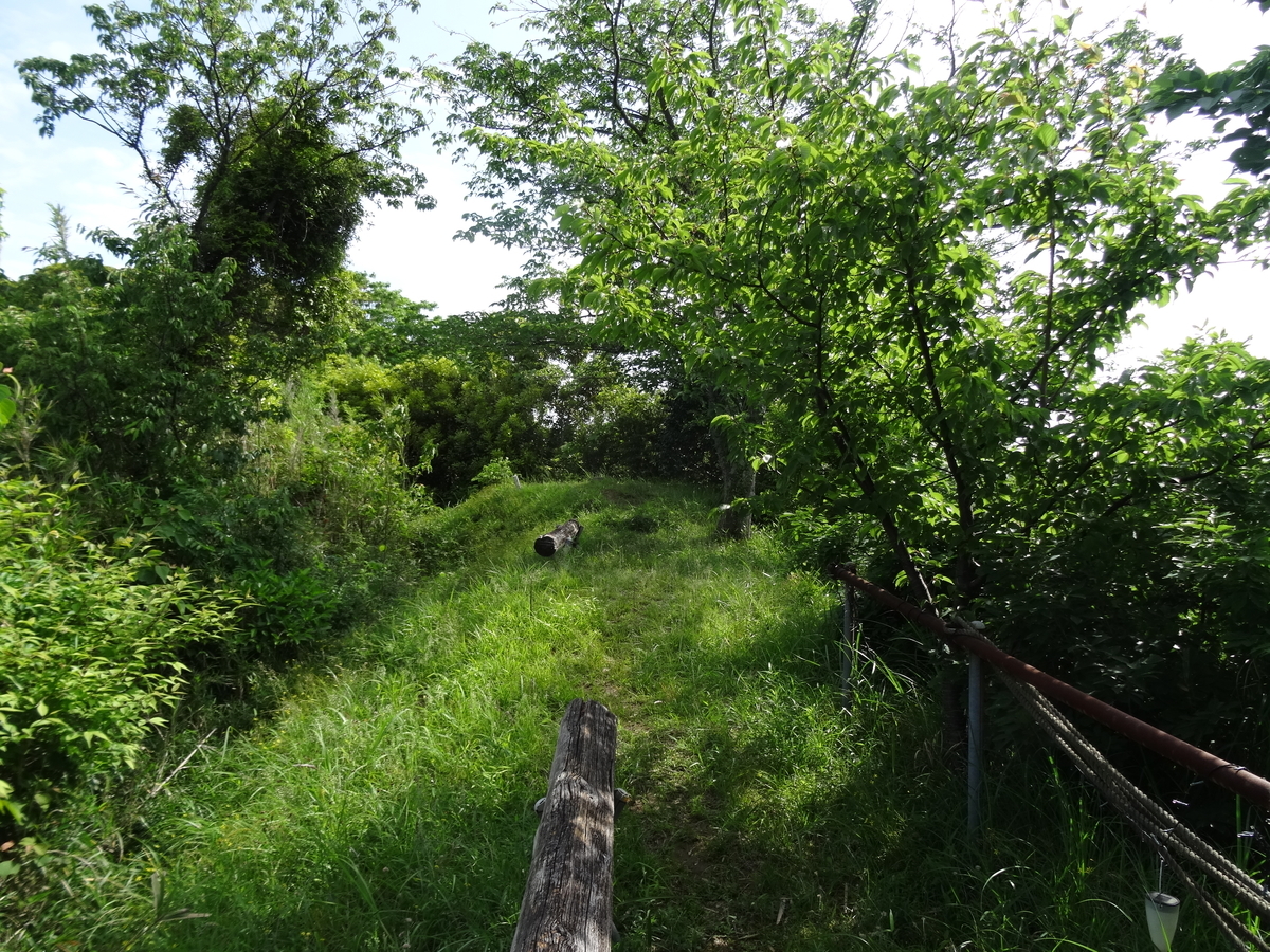 f:id:j_zero:20190606224748j:plain