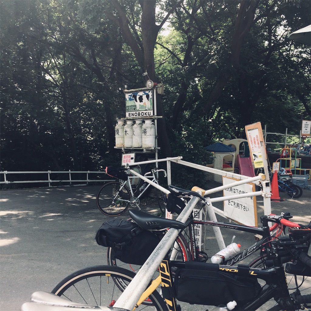 f:id:j_zero:20190610234538j:image