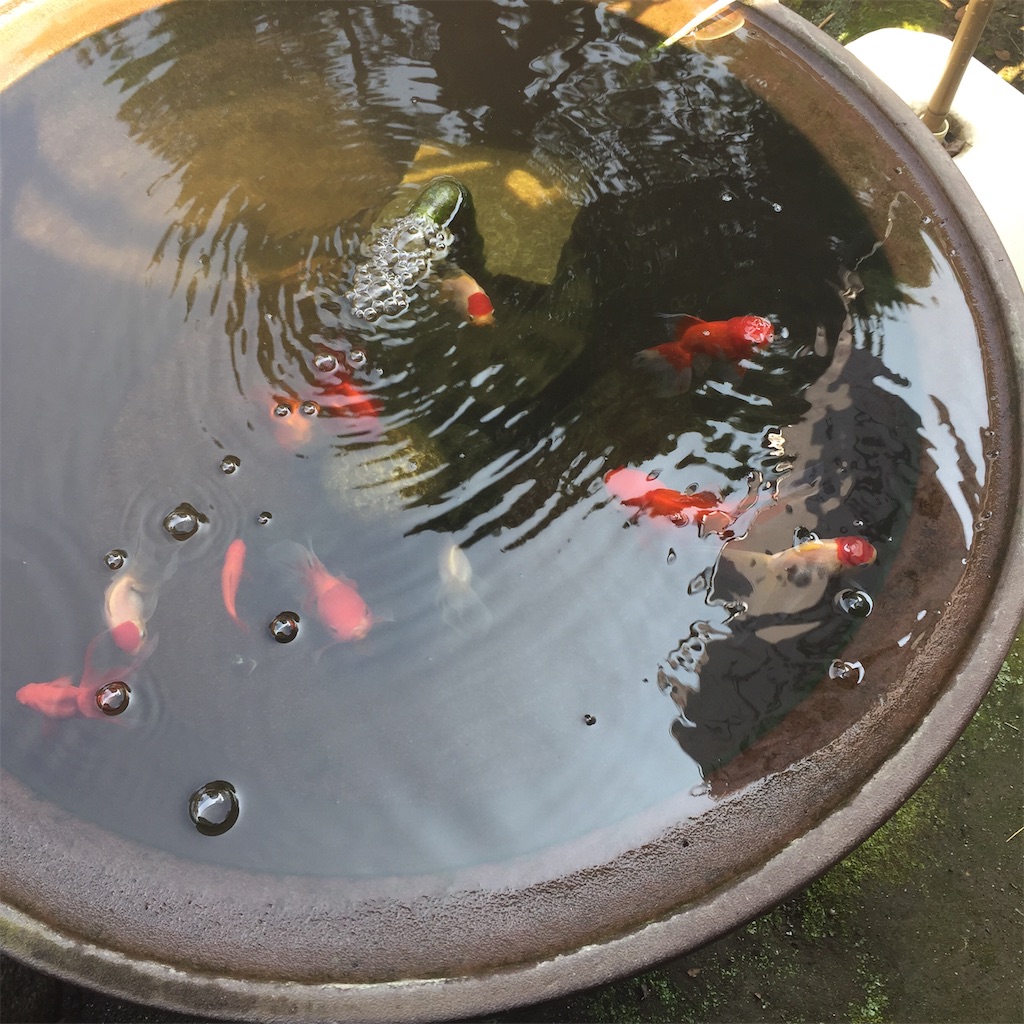 f:id:j_zero:20190805222727j:image