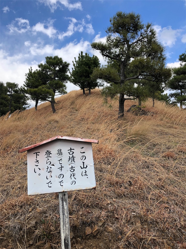 f:id:ja7083324:20190317083343j:image