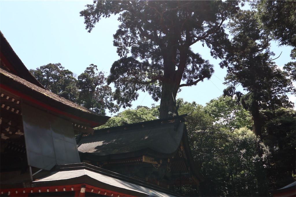 f:id:ja7083324:20190525185540j:image