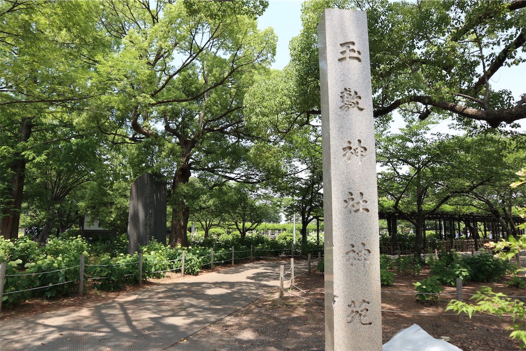 f:id:ja7083324:20190611095654j:image