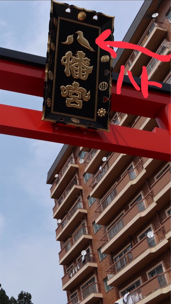 f:id:ja7083324:20190801200431j:image