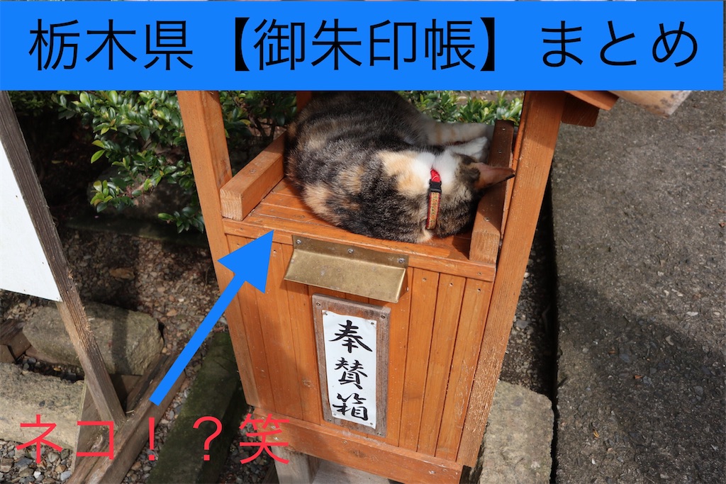 f:id:ja7083324:20191224193645j:image