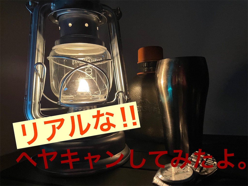 f:id:ja7083324:20210111201257j:image