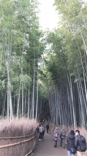 f:id:jabobeat:20190310215129j:image