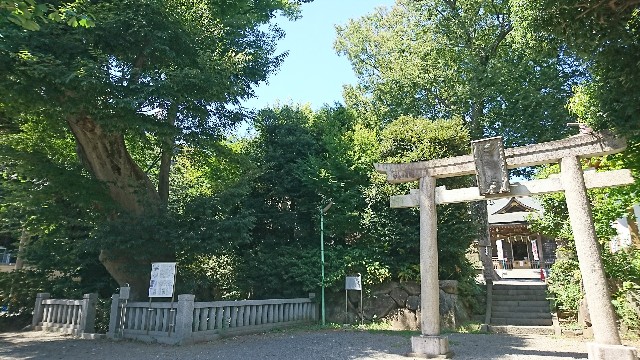 f:id:jabsport17:20180827103514j:image f:id:jabsport17:20180827103514j:image