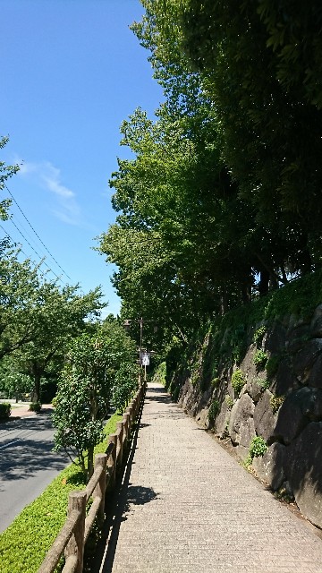 f:id:jabsport17:20180827103547j:image f:id:jabsport17:20180827103547j:image
