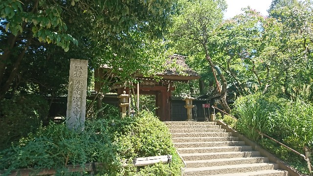 f:id:jabsport17:20180827103721j:image f:id:jabsport17:20180827103721j:image