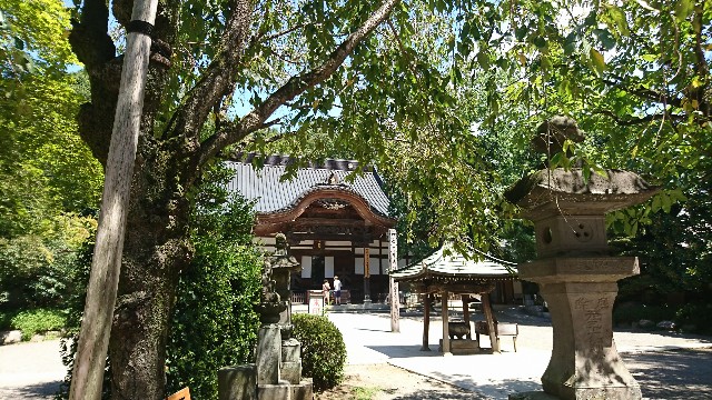 f:id:jabsport17:20180827103754j:image f:id:jabsport17:20180827103754j:image
