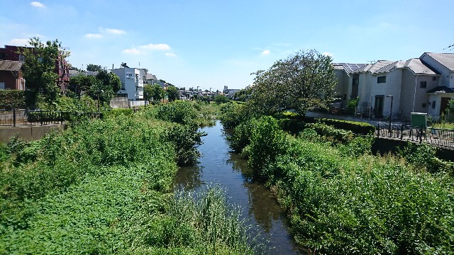 f:id:jabsport17:20180827104141j:image f:id:jabsport17:20180827104141j:image